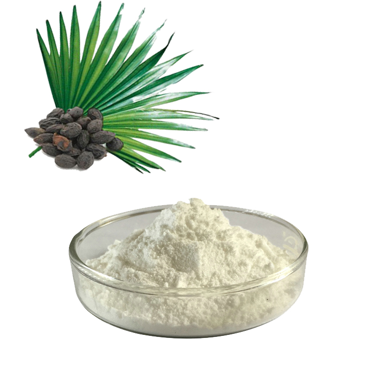 Zer da Saw Palmetto laburpena? Eta zer da Saw Palmetto Extract abantaila?